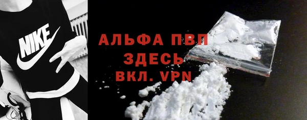 Альфа ПВП Няндома