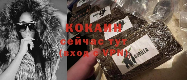 прущий лед Новозыбков