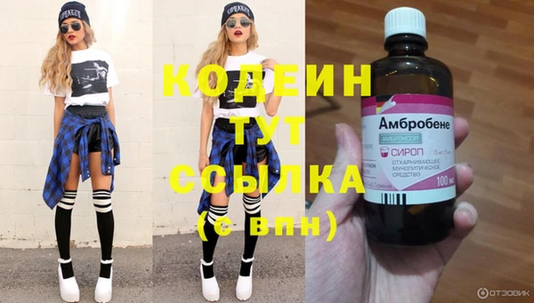 прущий лед Новозыбков