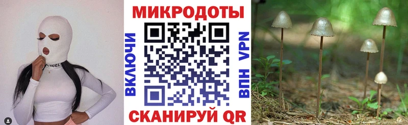 Галлюциногенные грибы Psilocybine cubensis  даркнет сайт  Кохма 