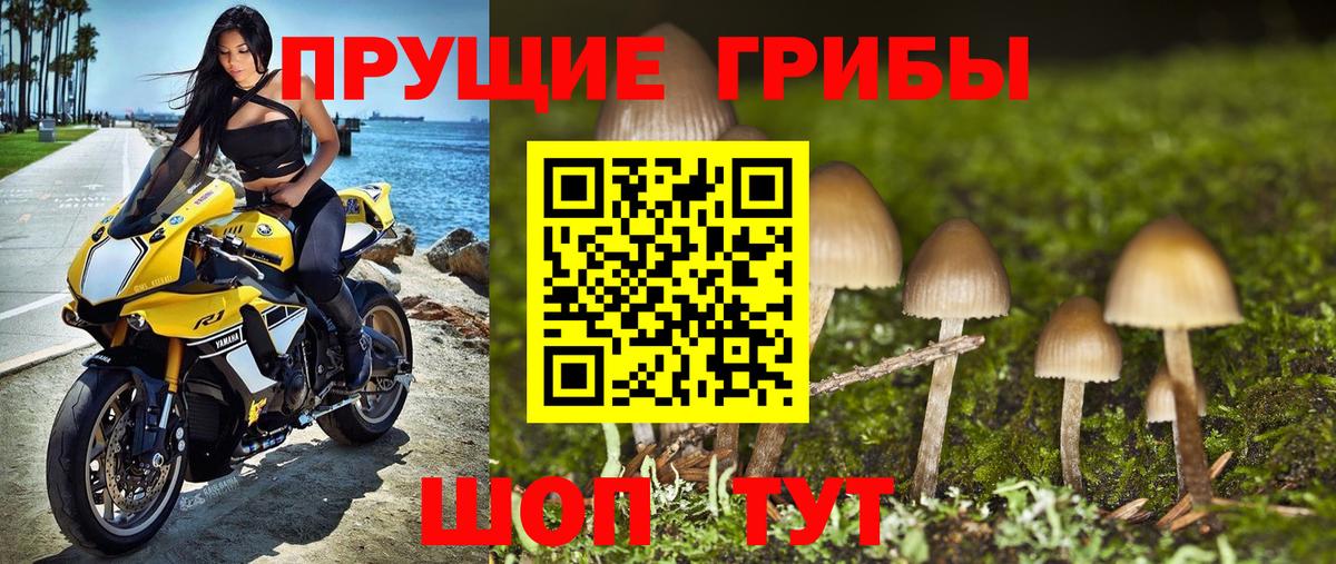 Гашик  Конопля  XTC  МДМА  Кохма  Мефедрон  25-NBOMe  Вход с VPN  APVP  Мефедрон 