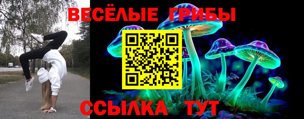 Галлюциногенные грибы Magic Shrooms Кохма