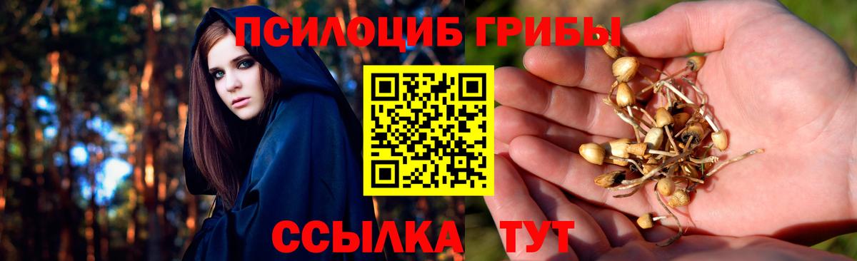 Кохма  Псилоцибиновые грибы Magic Shrooms  Вход с VPN 